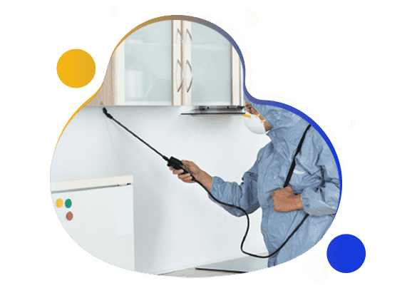Affordable Pest Control Darling Point